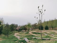 -兴安湖生态运动公园