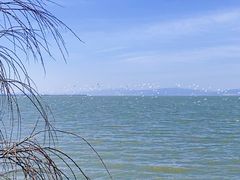 -捞渔河湿地公园