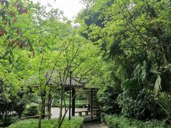 -龙头寺公园