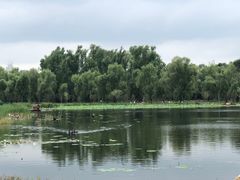 -长春市南湖公园