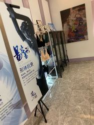 -玛莲朵·海菲秀冰珀科