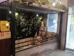 -甲大帅·甲鱼·椰子鸡主题餐厅(唐家店)