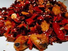 -雲蜀龙阁·金牌水煮鱼(方庄店)