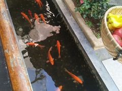 -勝記酒家·37年老字号·经典粤菜(荔枝公园店)