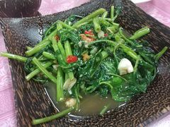 -陳妈妈泰国菜