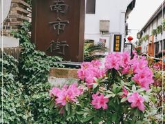 -川沙古镇-停车场