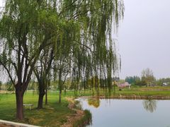 -安德鲁户外烧烤帐篷营地(马泉营店)