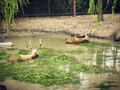 -溱湖国家湿地公园