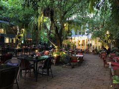 -Fern Forest Cafe