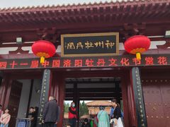 -神州牡丹园