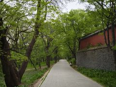 -北陵公园