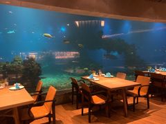 -涛·海底餐厅·美人鱼·自助餐·海底隧道(三亚海棠湾洲际度假酒店)