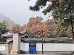 -阳台山自然风景区