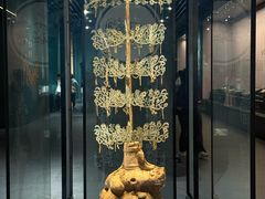 -广西壮族自治区博物馆