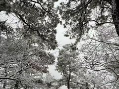 -敬亭山风景名胜区