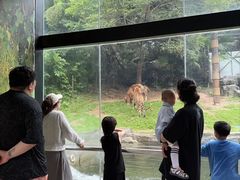 -深圳野生动物园