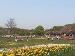 -凤凰沟景区