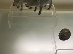 -旅顺博物馆