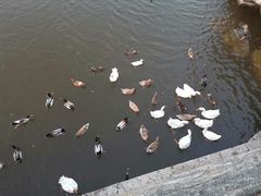 -迎泽公园