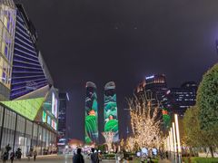 -合景·悠方(成都店)