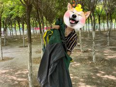 -西青郊野公园