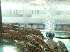 野生大斑节虾-凯华海鲜火锅·传承三十六年
