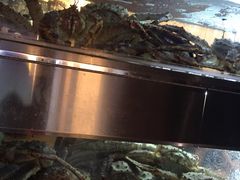 -鱼乐轩海鲜专门店