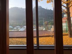 -重庆海昌加勒比海水世界