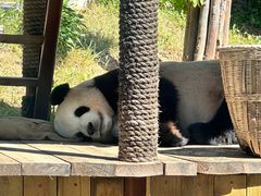 -大连森林动物园