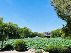 -莲池书院博物馆