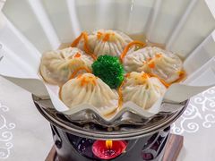 -嘉禧大酒楼(康城广场店)