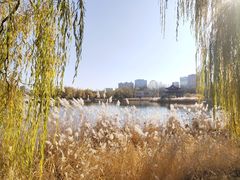 -青城公园