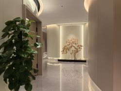 -雅荷悦来双美