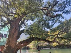 -上坦村