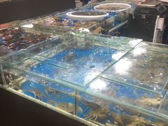 水产区-王四营海鲜市场