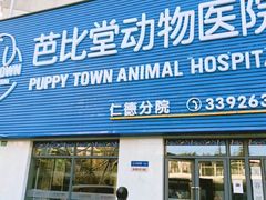 -芭比堂宠物医院·全科爱猫医院·仁德分院