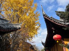 -龙华素斋(龙华路店)