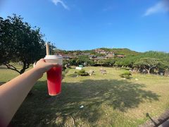 -美人鱼悬崖海景餐厅(鹿嘴山庄店)