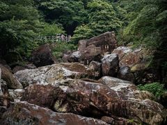 -百杖潭景区