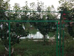 -呼吸森林·生态农庄农家乐私房菜