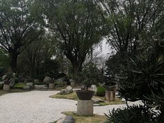 -中国唐苑