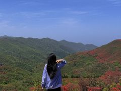 -大围山国家森林公园