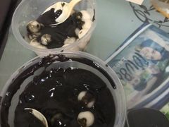 -满记甜品(日月光二店)