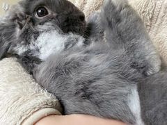 -雨林宠物医院 非犬猫异宠专科