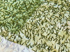 -春晖园度假酒店温泉