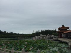 -南戴河国际娱乐中心