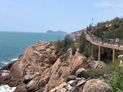 -广东惠东海龟国家级自然保护区