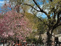 -潭柘寺景区