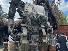 -奥兰多迪士尼动物王国乐园