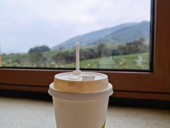-白茶原·一片叶子